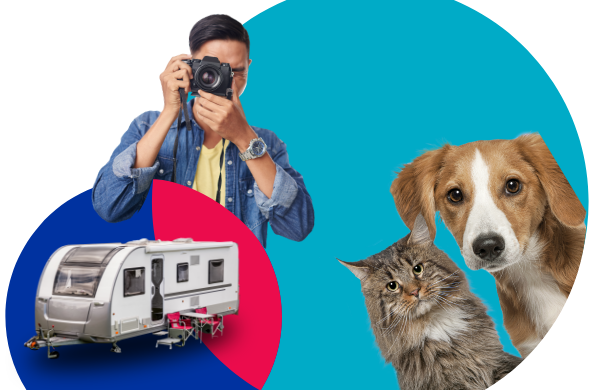A man with a camera, a caravan, a dog and a cat