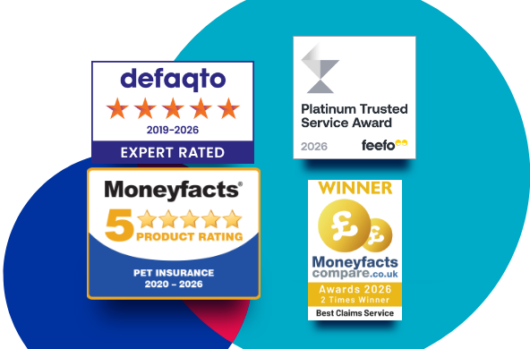 A collection of images showing the awards that The Insurance Emporium has won